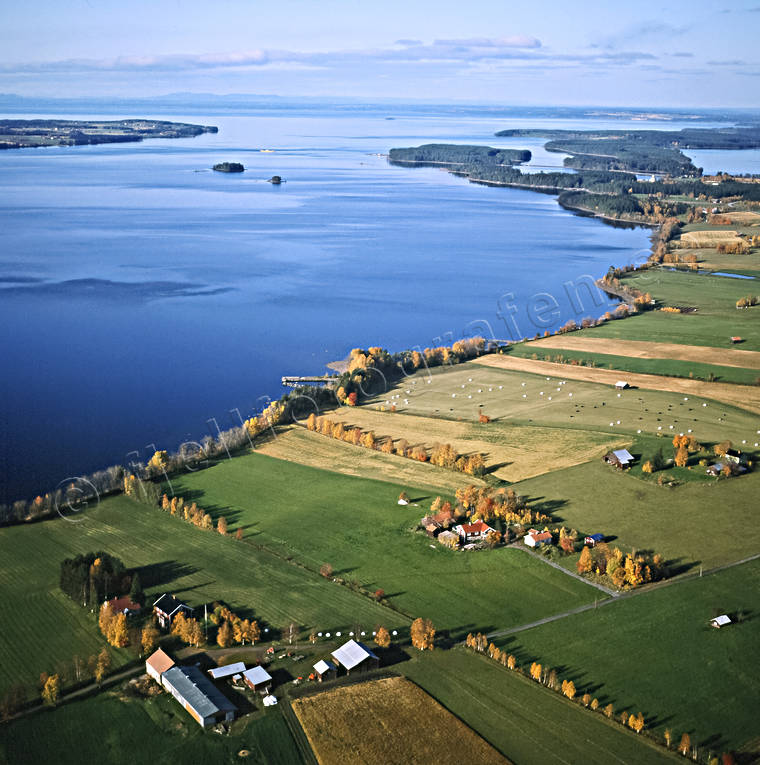 aerial photo, aerial photo, aerial photos, aerial photos, autumn, autumn colours, drone aerial, drnarfoto, Great Lake, Jamtland, landscapes, Nordron, Orrviken, Sunne
