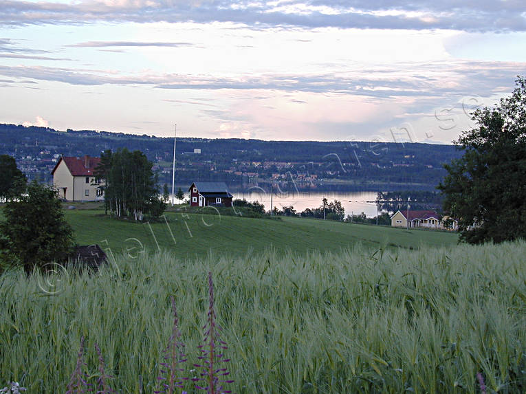 agriculture, agriculture district, Brunflo, Great Lake, Jamtland, landscapes, summer, Valbacken