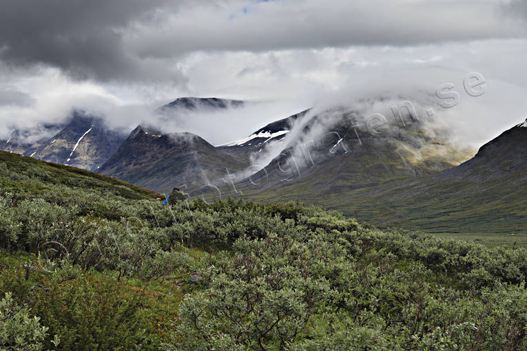 Alkavagge, alpine, landscapes, Lapland, Laponia, mountain, mountain peaks, mountain top, mountains, Sarek, Sarek nationalpark, Sarekfjll, summer