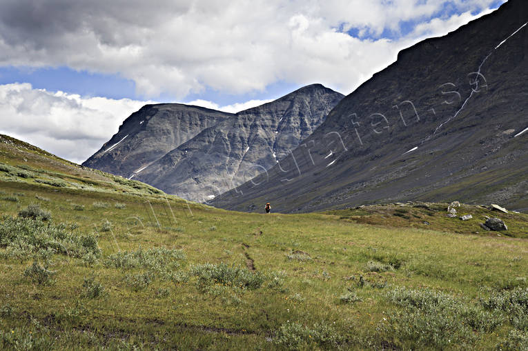 Alkavagge, alpine, landscapes, Lapland, Laponia, mountain, mountain peaks, mountain top, mountains, Sarek, Sarek nationalpark, Sarekfjll, summer