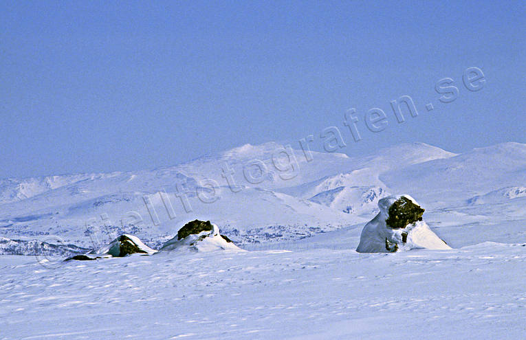 landscapes, Lapland, mountain, winter