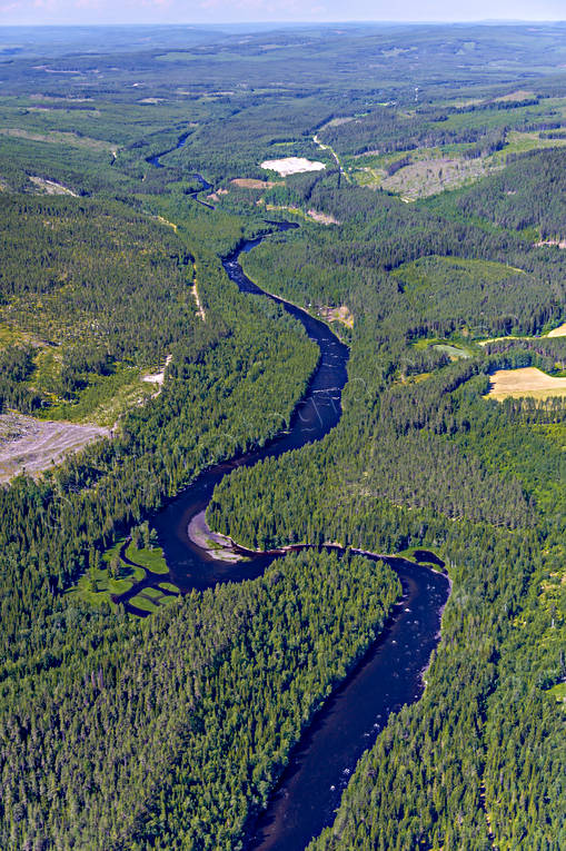 Ammerån, fishing spots, Färsån, Jamtland, landscapes, summer