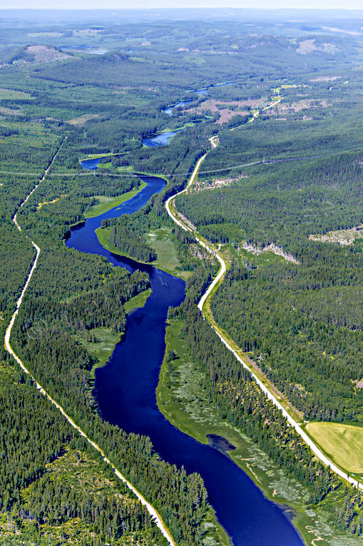 Ammerån, fishing spots, Jamtland, landscapes, Selsålandet, summer