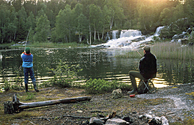 angling, fishing, fishing, Forsan, reel, reel fishing, spin fishing, spinning