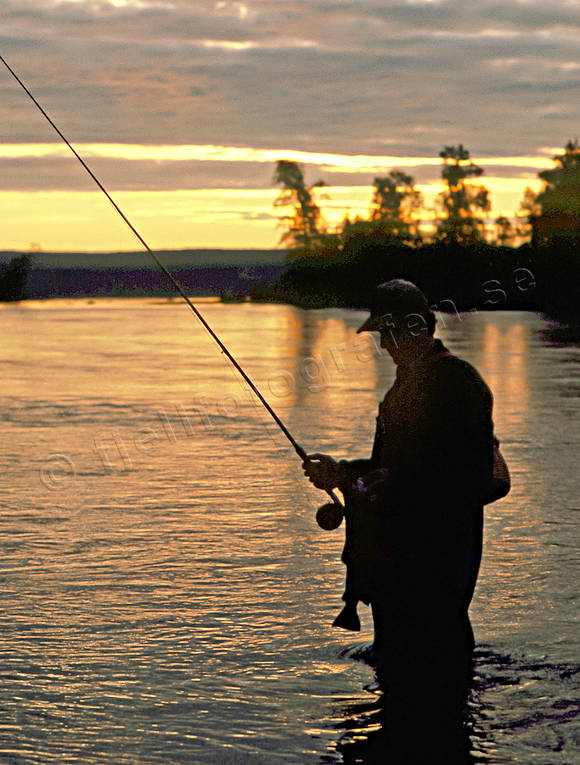 angler, angling, Edforsen, fishing, flyfishing, sports event, sunrise, trout