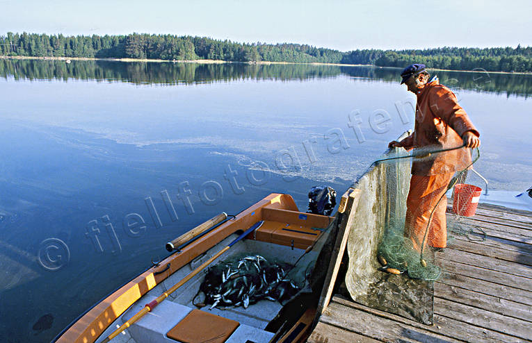 baltic herring, boat, clean, clear, fishing, fishing, fishing, fishing net, net, skt, work