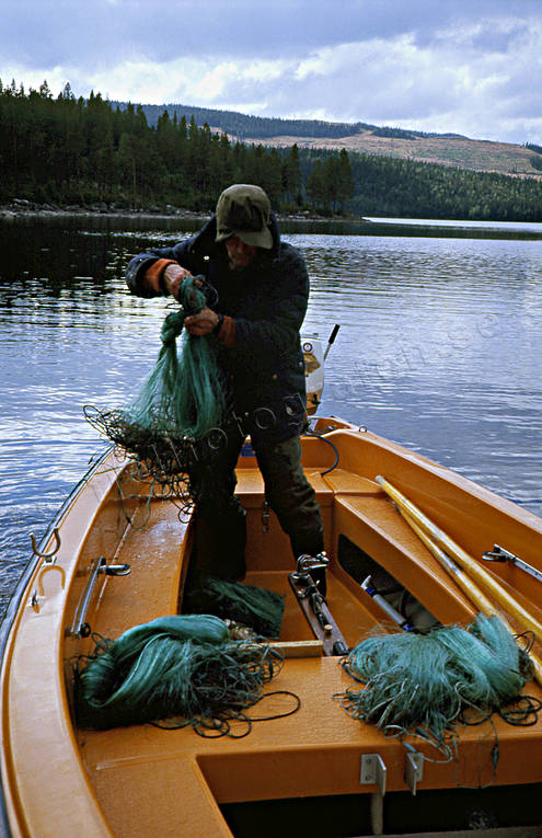 anglers, boat, fishing, fishing, fishing net, net, net fishing, work