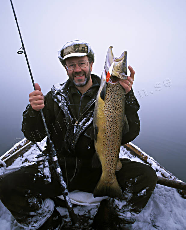 anglers, angling, fish, fishing, fishing fortune, reel fishing, salmon trout, spin fishing, trout