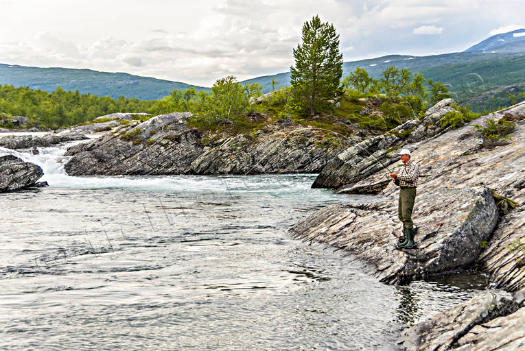 anglers, anglers, angling, fishing, flyfishing, Pite river, trills
