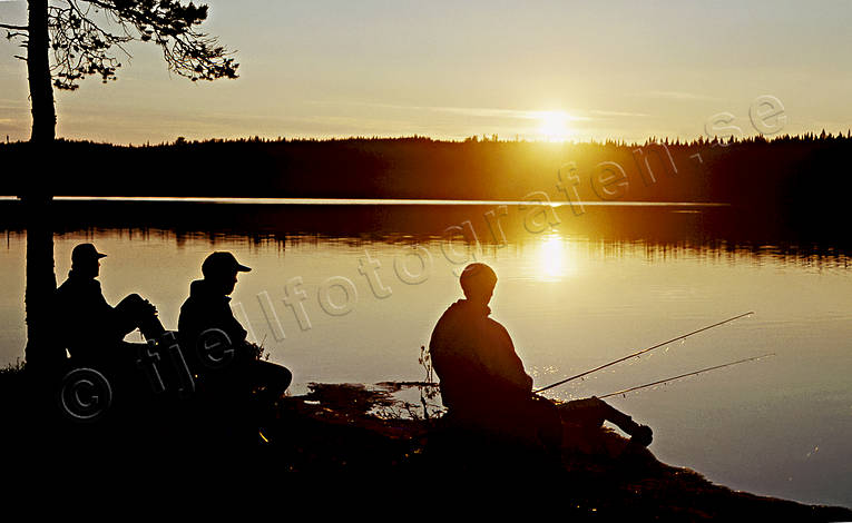 angling, angling, fishing, Landom lake, summer, sunset