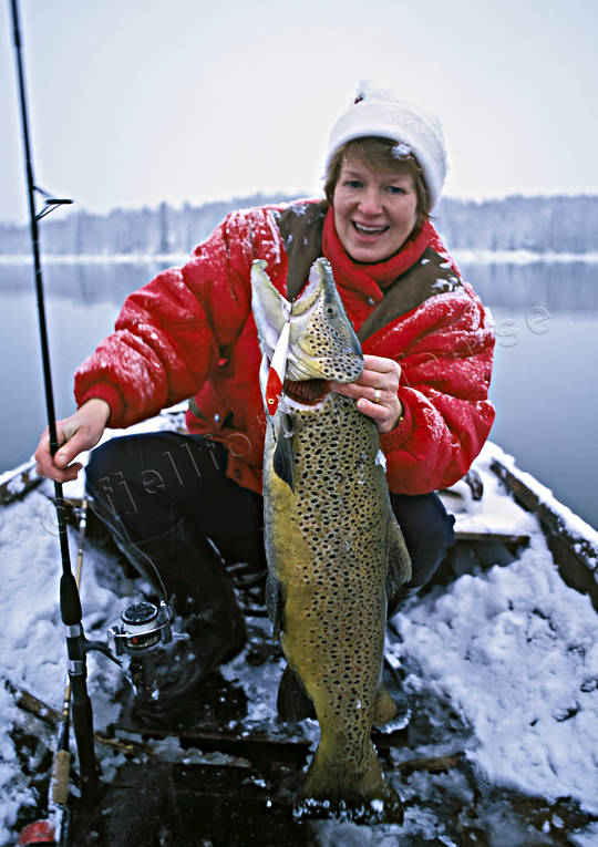 anglers, angling, boat fishing, female, fishing, Gev lake, gevsjring, insjring, reel, spin fishing, trout, trout fishing, winter fishing, woman