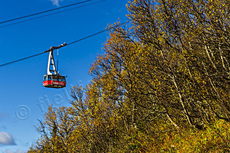 autumn, autumn colours, autumn leaves, birch, cableway, Jamtland, landscapes