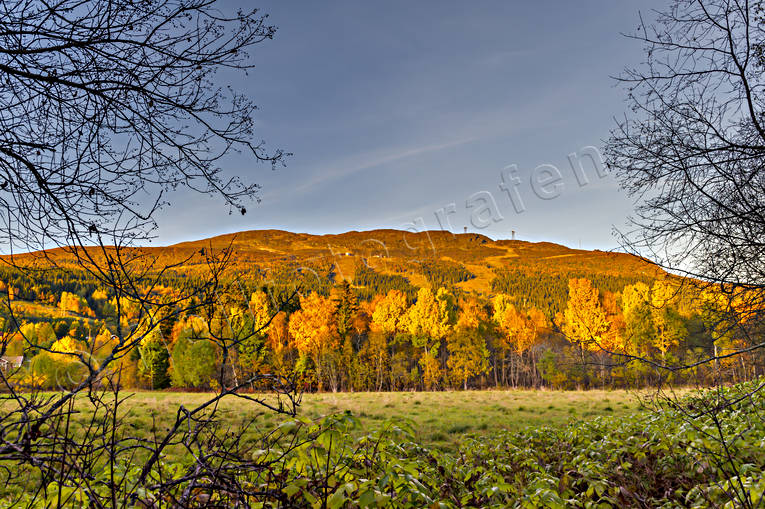 Areskutan, autumn, autumn colours, Jamtland, landscapes, mountain, seasons, äng