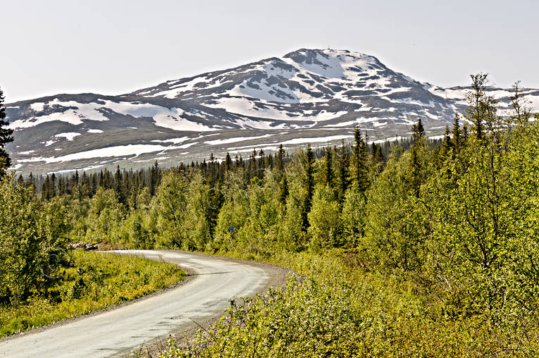 Areskutan, green, Jamtland, landscapes, mountain, nature, seasons, snowy patches, spring, summer, woodland