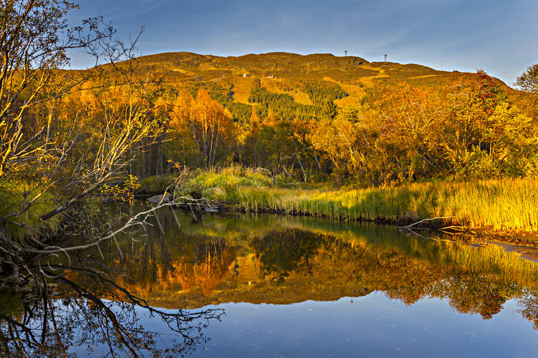Areskutan, autumn, autumn colours, Indal river, Jamtland, landscapes, meander, seasons, spegelbild, watercourse, yellow