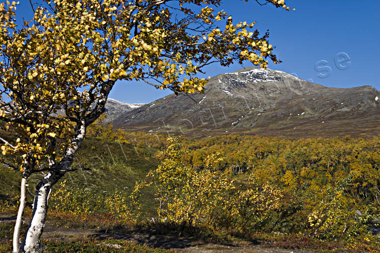 alpine, alpine landscape, autumn, autumn colours, autumn morning, Jamtland, landscapes, mountain, mountain top, mountains, red, red, season, seasons, Snasa Mountains, Snasen, Storsnasen, Tvrn