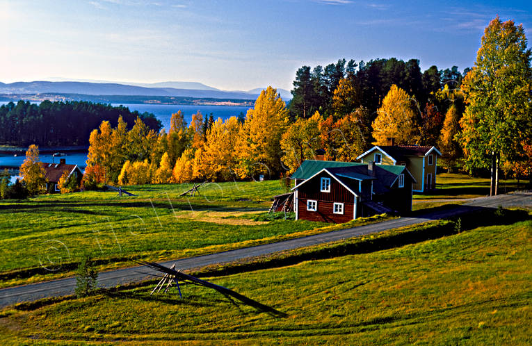 autumn, autumn colours, farm, Great Lake, Jamtland, landscapes, season, seasons