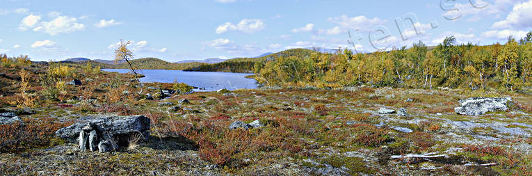 autumn, autumn colours, landscapes, Lapland, mountain, mountains, panorama, panorama pictures