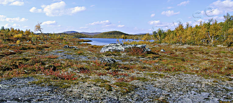 autumn, autumn colours, landscapes, Lapland, mountain, mountains, panorama, panorama pictures