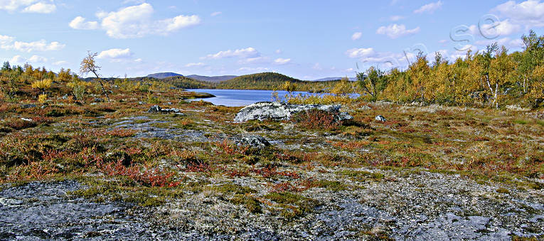 autumn, autumn colours, landscapes, Lapland, mountain, mountains, panorama, panorama pictures