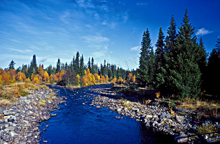 autumn, autumn colours, creek, Fuan, Jamtland, landscapes, mountain forest, mountain stream, watercourse, woodland