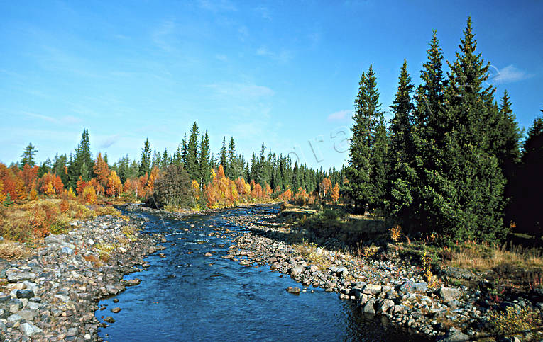 autumn, autumn colours, Fuan, Jamtland, landscapes, watercourse