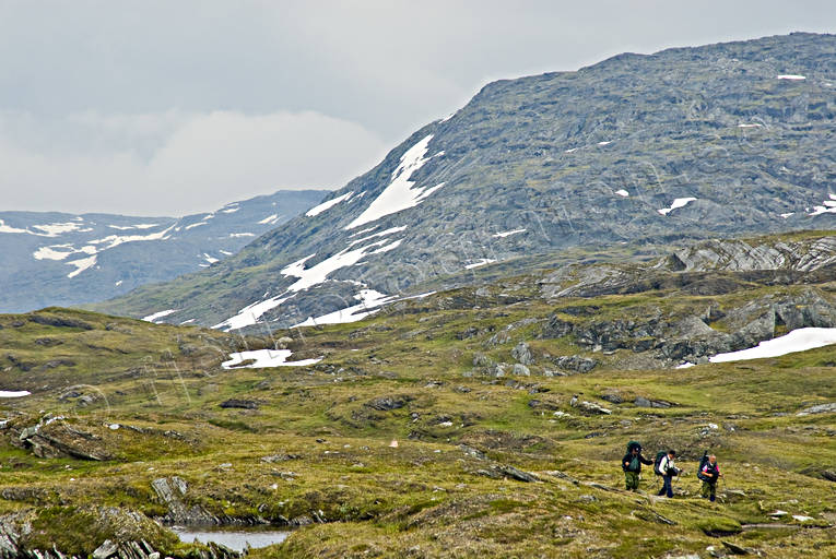 alpine hiking, back-packer, back-packing, national park, national parks, Padjelanta, summer, äventyr