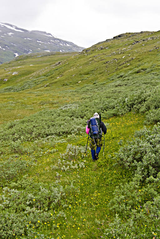 alpine hiking, back-packer, fjälläng, green, national park, Padjelanta, stavgång, summer, äventyr