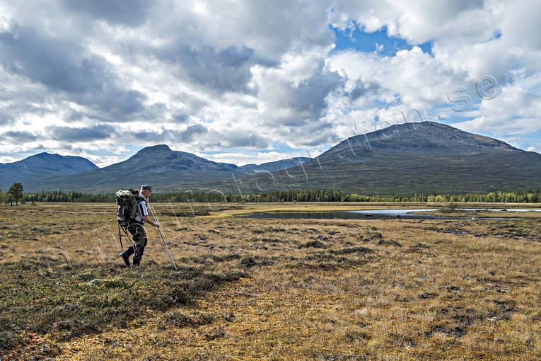 alpine, alpine hiking, alpine precipice, autumn, autumn colours, back-packer, back-packing, bog soil, getryggen, Jamtland, landscapes, marshes, mires, quags, mire, mountain, mountain top, mountains, nature, outdoor life, season, seasons, Snasa Mountains, Storsnasen, Storsflon, tvaraklumpen, wild-life