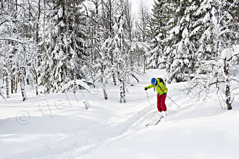 outdoor life, ski touring, skier, skiing, sport, winter, äventyr