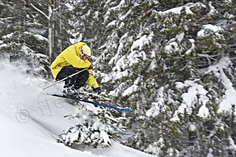 down-hill running, jump, outdoor life, playtime, ski touring, skier, skiing, sport, winter, äventyr