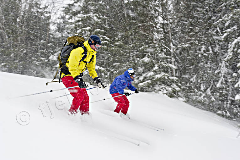 down-hill running, outdoor life, playtime, ski touring, skier, skiing, sport, winter, ventyr