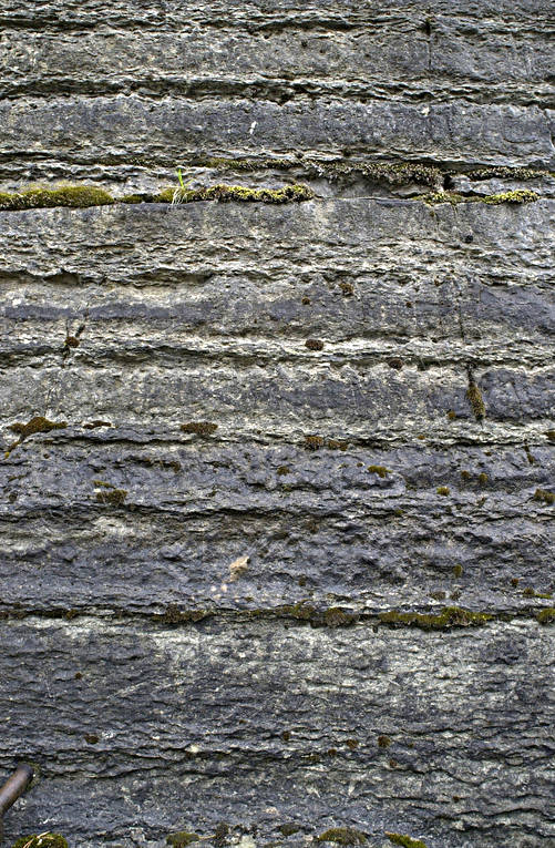 bare rock, biotope, biotopes, forest land, forests, mountain, nature, sediment, stone, stone pit, quarry, woodland