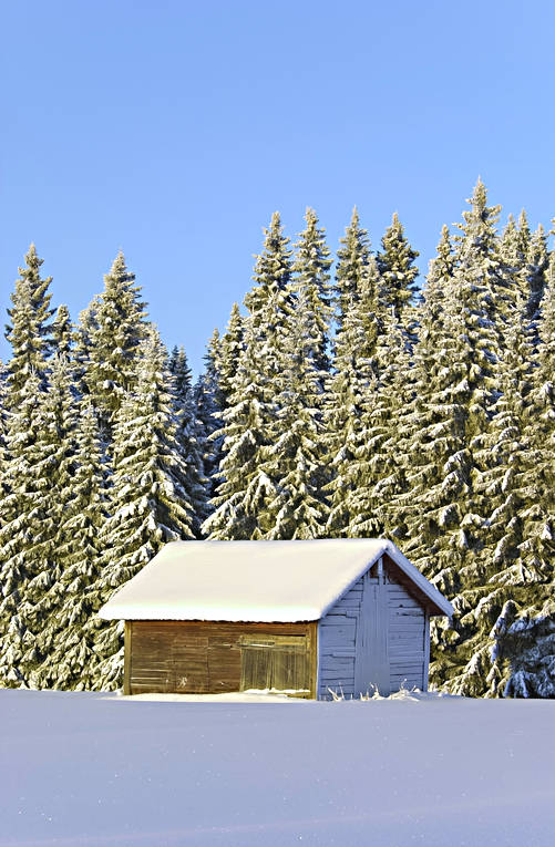 ambience, ambience pictures, atmosphere, barn, christmas ambience, christmas card, Lapland, nature, season, seasons, snow, snow-weighted, spruce forest, winter, woodland