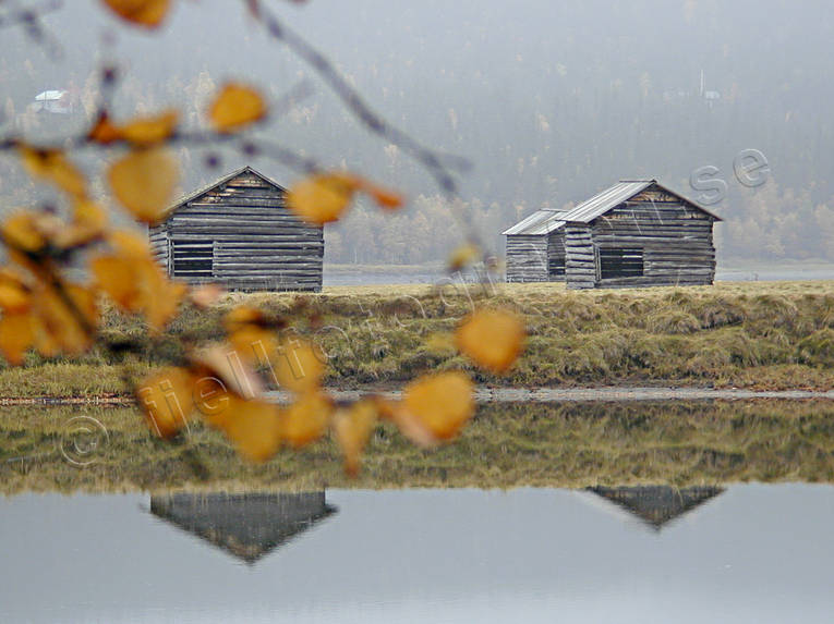 Ammarnas, autumn, barn, barns, fog, grey day, hay barn, hay barns, landscapes, Lapland, myrslåtter