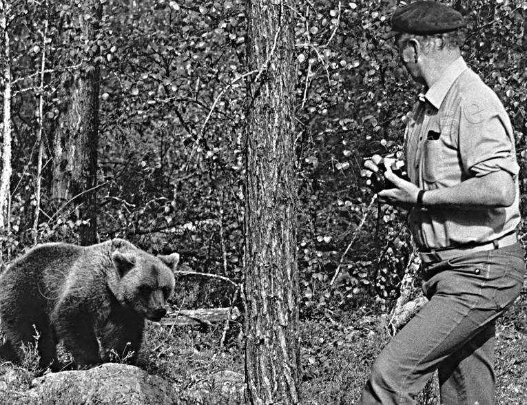 animals, bear, bear shooting, black-and-white, brown bear, human, mammals, photographing, predators, ursine