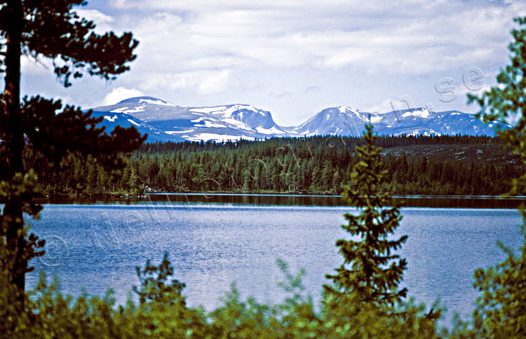 Bear lake, Herjedalen, landscapes, Lill-Lunndrren, Lunndorrsfjallen, mountain, mountain forest, summer