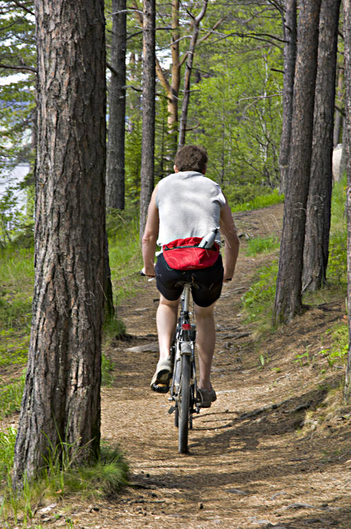bicyclist, bike, bike, early, forest path, Jamtland, outdoor life, path, pine, pine forest, season, seasons, summer, wild-life, ventyr