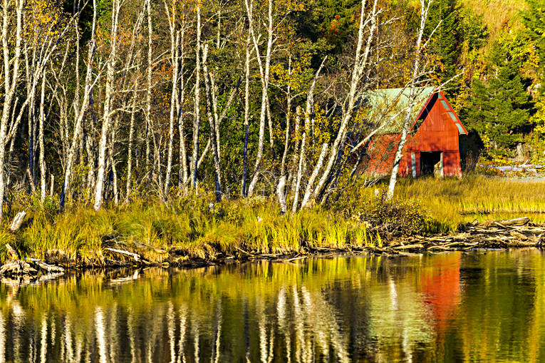 autumn, autumn colours, autumn leaves, boat house, Indal river, Jamtland, landscapes, lövträd, seasons, spegelbild, watercourse, woodland