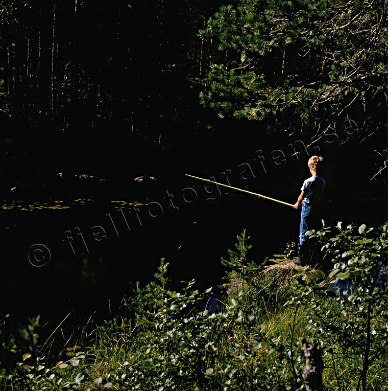 angling, angling, fishing, forest creek, summer