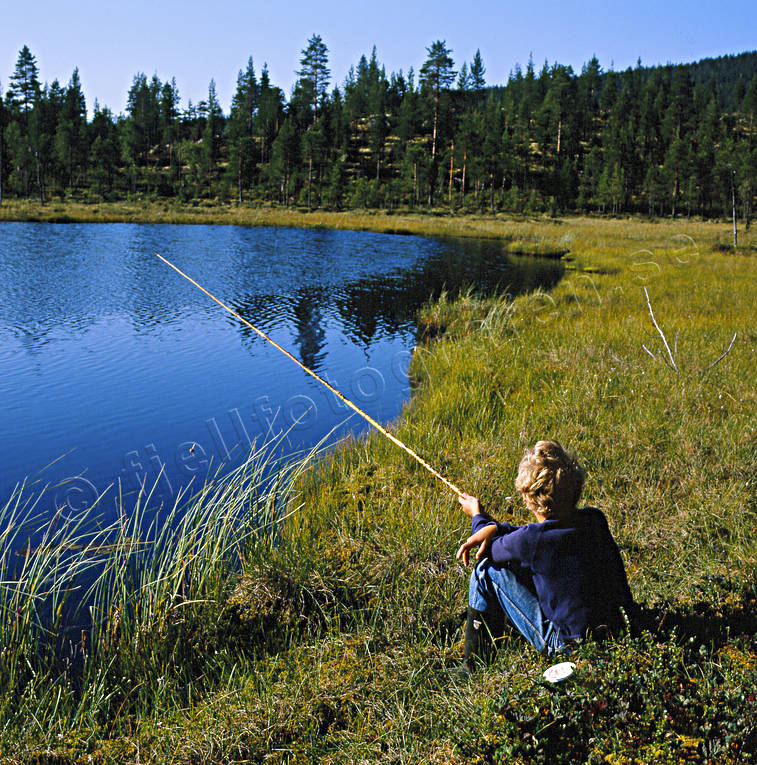 angling, angling, boy, fishing, forest tarn, summer