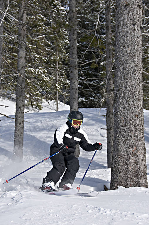 boy, down-hill running, Erik, loose snow, offpist, playtime, skier, skies, skiing, snow-spray, sport, winter