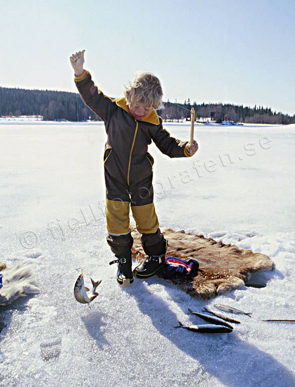 angling, boy, children, fishing, fishing fortune, ice fishing, ice fishing, whitefish, whitefish fishery, winter fishing