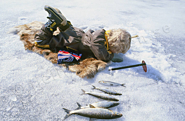 angling, boy, children, fishing, ice fishing, ice fishing, whitefish, whitefish fishery, winter fishing