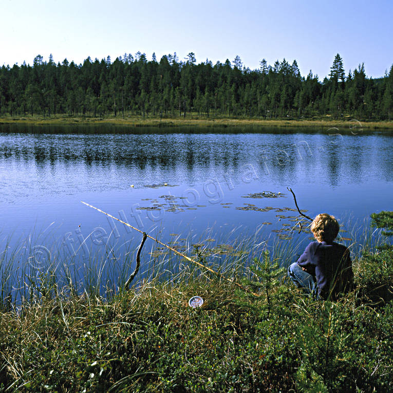 angling, angling, boy, fishing, fishing, fishing rod, to angle, Vall lake