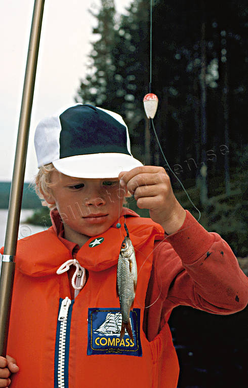 angling, angling, boy, fishing, fishing rod, roach, minnow