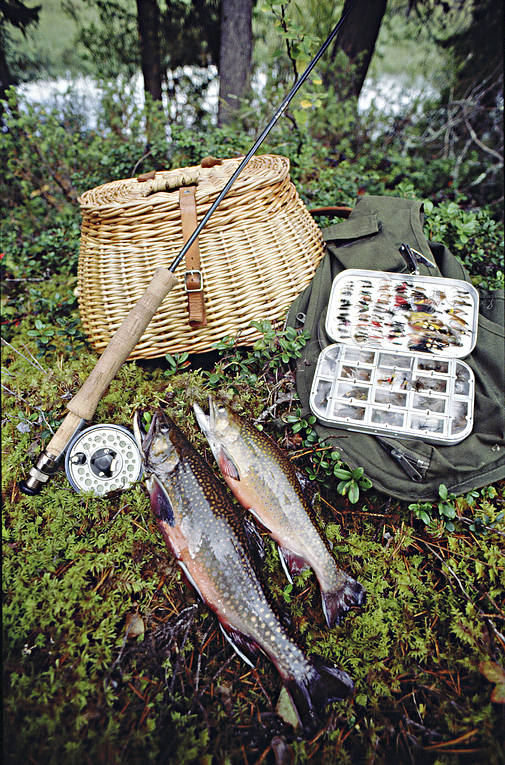 angling, brook trout, brook char, fishing, fly box, fly rod, flyfishing