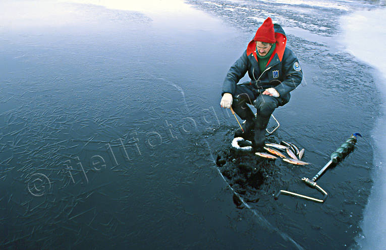 angling, bay floe, char, char fishing, fishing, fishing through ice, ice, ice fishing, ice fishing, winter fishing