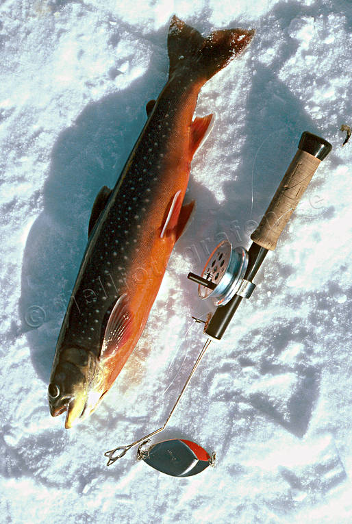 angling, Are lake, char, fishing, fishing through ice, ice fishing, ice fishing, ice fishing rod, winter fishing