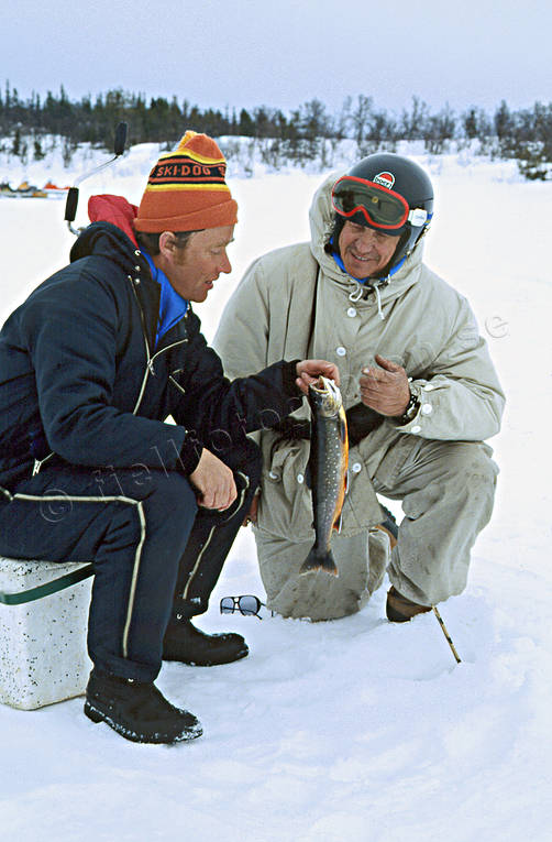 angling, char, char fishing, fishing, ice fishing, ice fishing